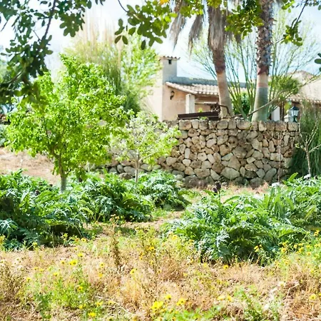 Villa Vila *